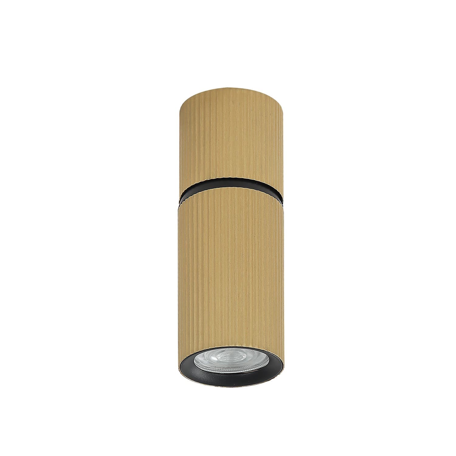 Plafonska lampa AFS117-1C SG - Novo u ponudi