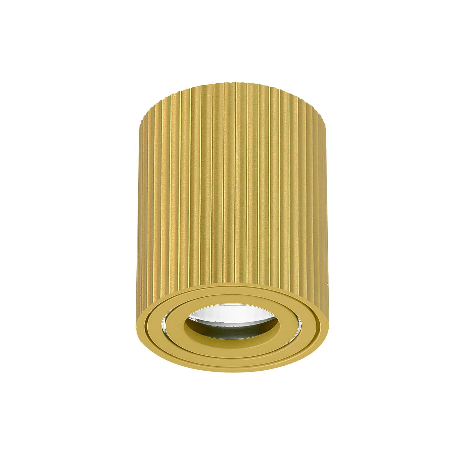 Plafonska lampa AFS118-1C SG - Novo u ponudi