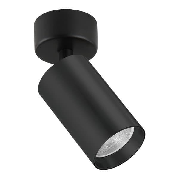 Plafonska lampa AFS121-1C BK - Plafonske lampe