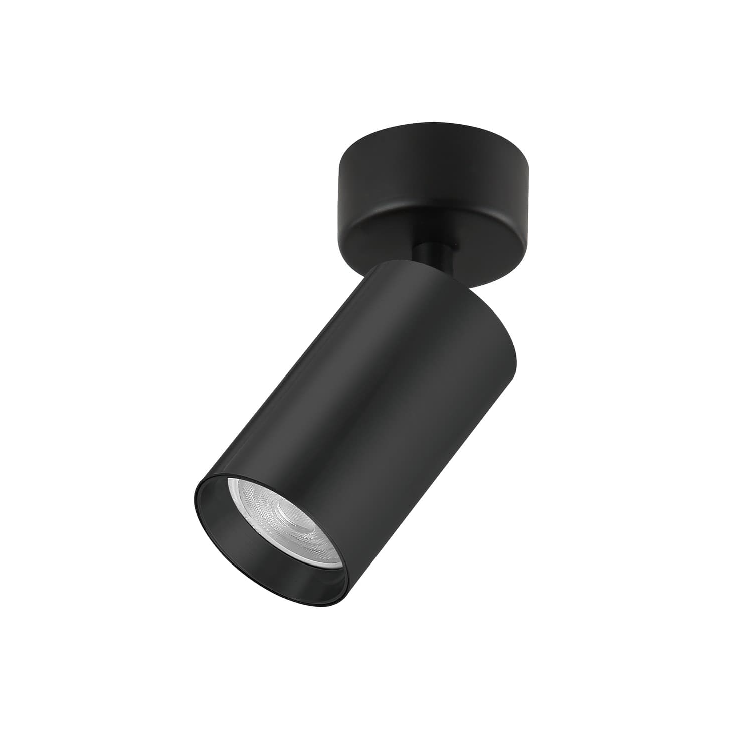 Plafonska lampa AFS121-1C BK - Plafonske lampe