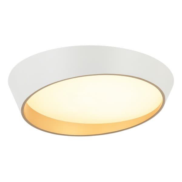 LED plafonska lampa F2098-75C WH+SG - LED plafonjere i plafonske lampe