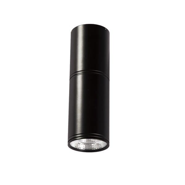LED plafonska lampa F2603-12C BK - Akcija