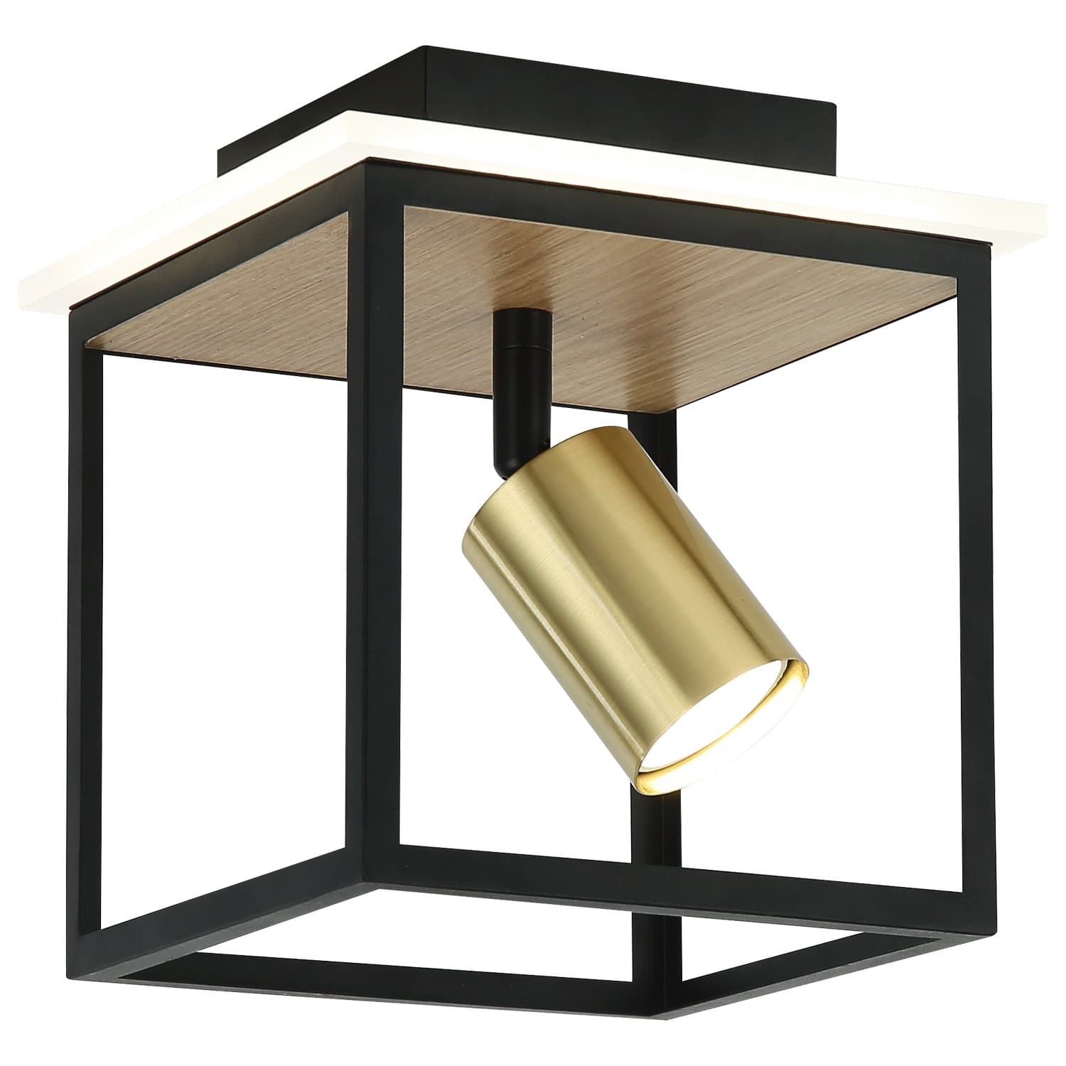LED plafonska lampa FG152-1 BK+WD - LED plafonjere i plafonske lampe