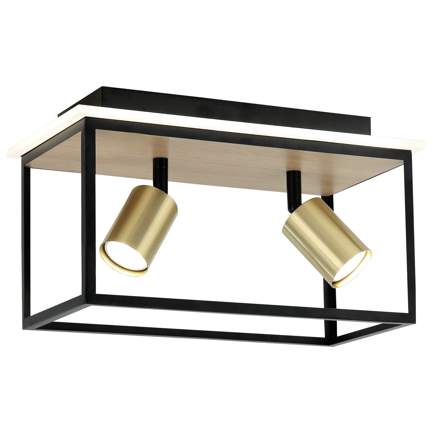 LED plafonska lampa FG152-2 BK+WD - LED plafonjere i plafonske lampe