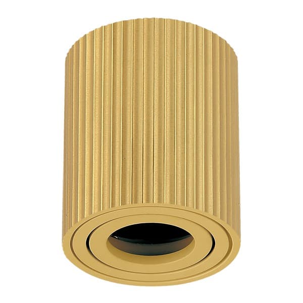 Plafonska lampa AFS118-1C SG - Novo u ponudi