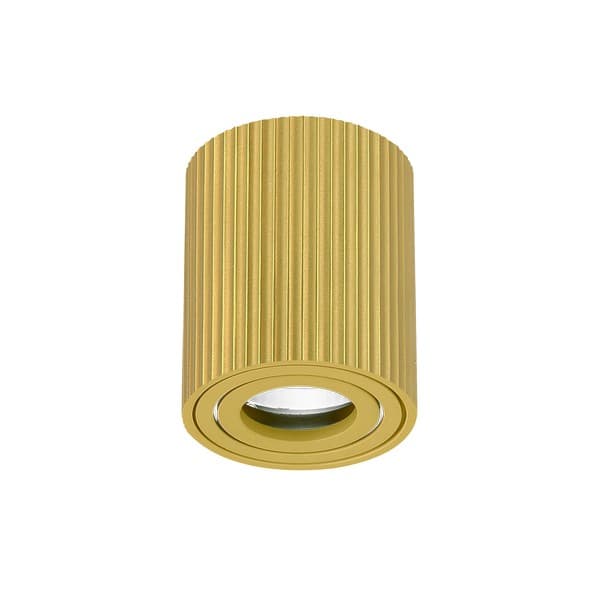 Plafonska lampa AFS118-1C SG - Novo u ponudi