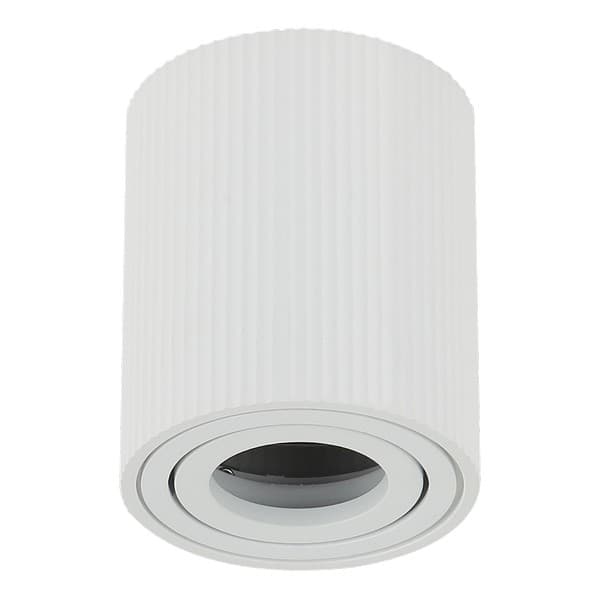 Plafonska lampa AFS118-1C SG - Novo u ponudi