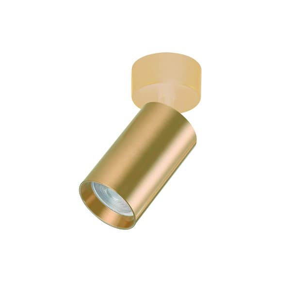 Plafonska lampa AFS121-1C SG - Novo u ponudi
