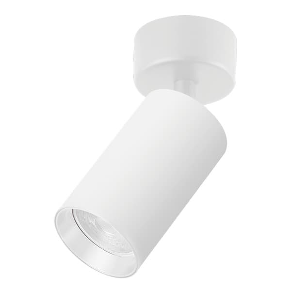 Plafonska lampa AFS121-1C SG - Novo u ponudi