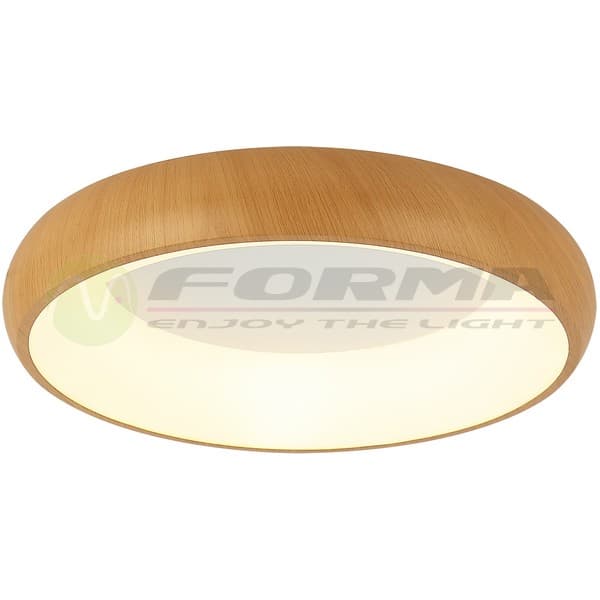 LED plafonska lampa F2081-58C WD - LED plafonjere i plafonske lampe