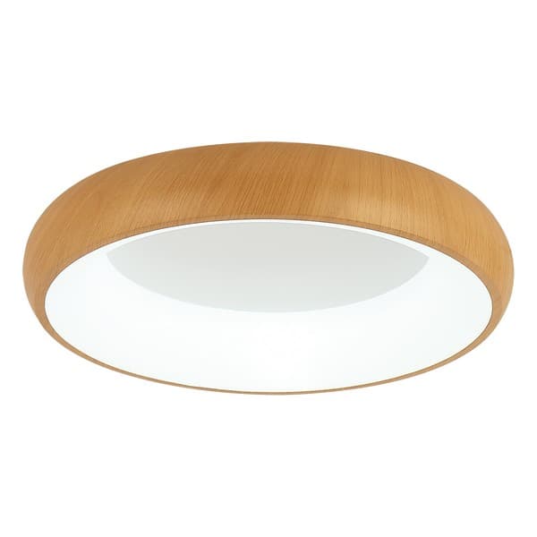 LED plafonska lampa F2081-58C WD - LED plafonjere i plafonske lampe