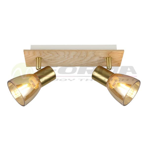 Spot lampa FE406-2 SG+WD - Spotovi