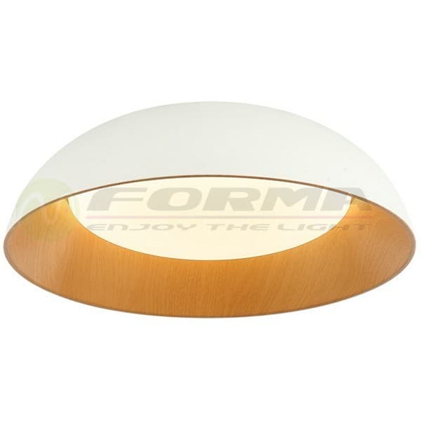 LED plafonska lampa FK2005-66C WH - Akcija