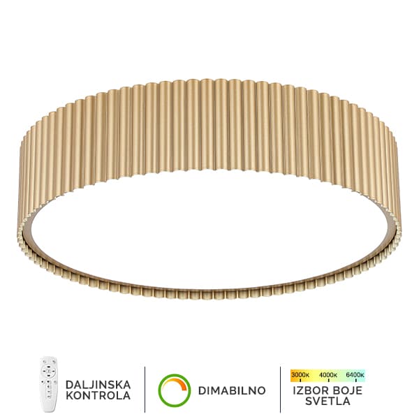 LED plafonska lampa F2095-67P SG - LED plafonjere i plafonske lampe