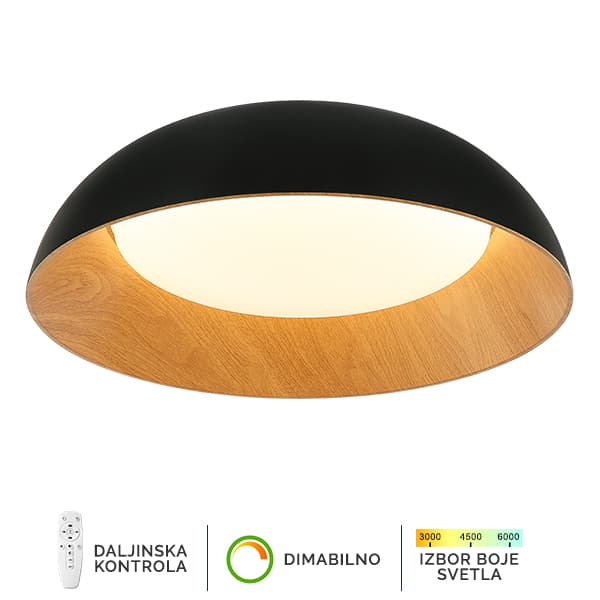 LED plafonska lampa FK2005-66C BK - Akcija