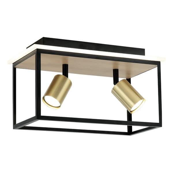 LED plafonska lampa FG152-2 BK+WD - LED plafonjere i plafonske lampe