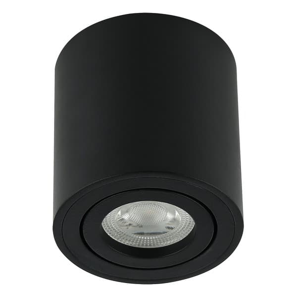 Plafonska lampa AFS114-1C BK - Plafonske lampe