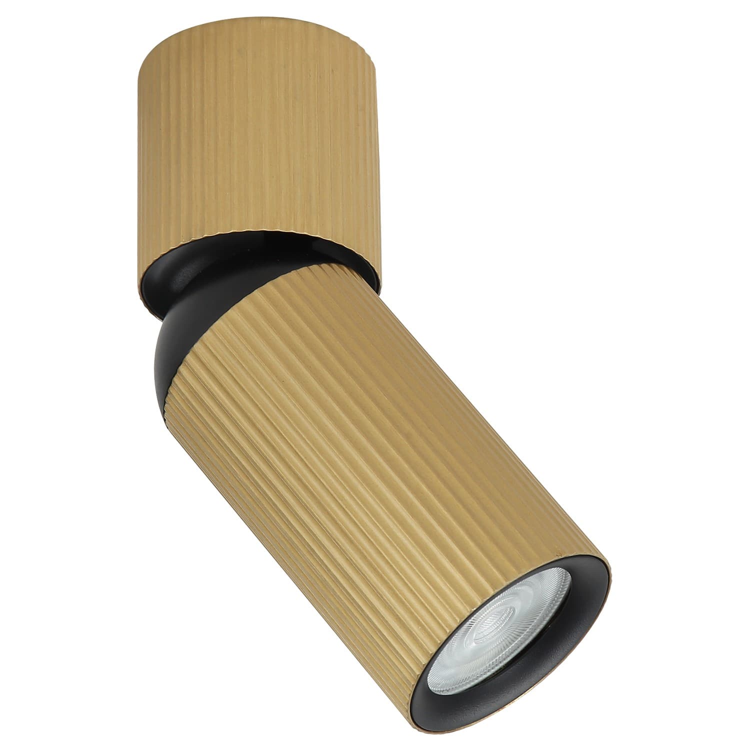 Plafonska lampa AFS117-1C SG - Novo u ponudi