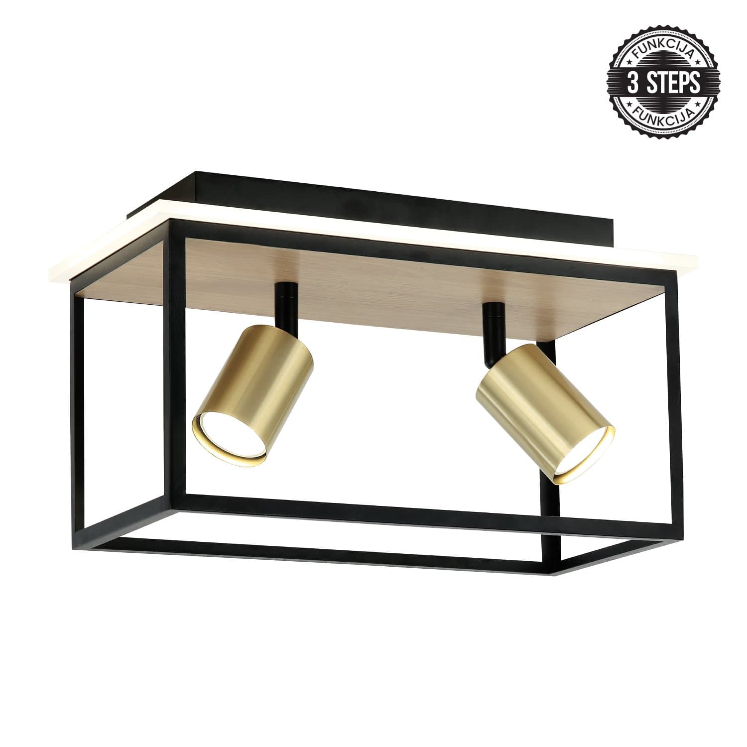 LED plafonska lampa FG152-2 BK+WD - LED plafonjere i plafonske lampe