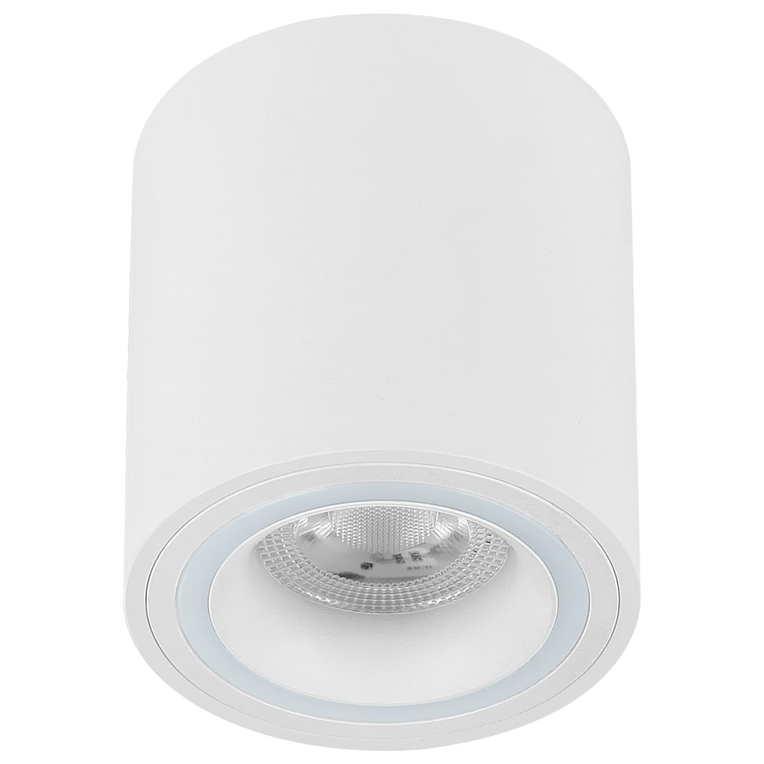 Plafonska lampa AFS116-1C WH - Plafonske lampe