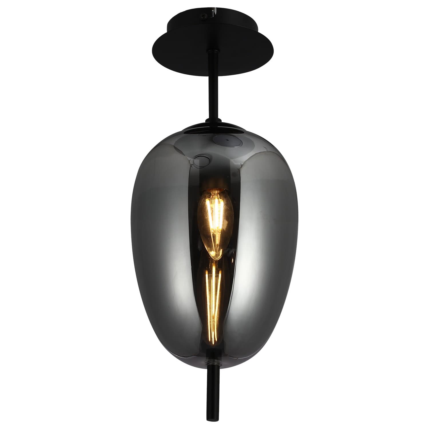Plafonska lampa F4014-1C BK+SM - Plafonske lampe