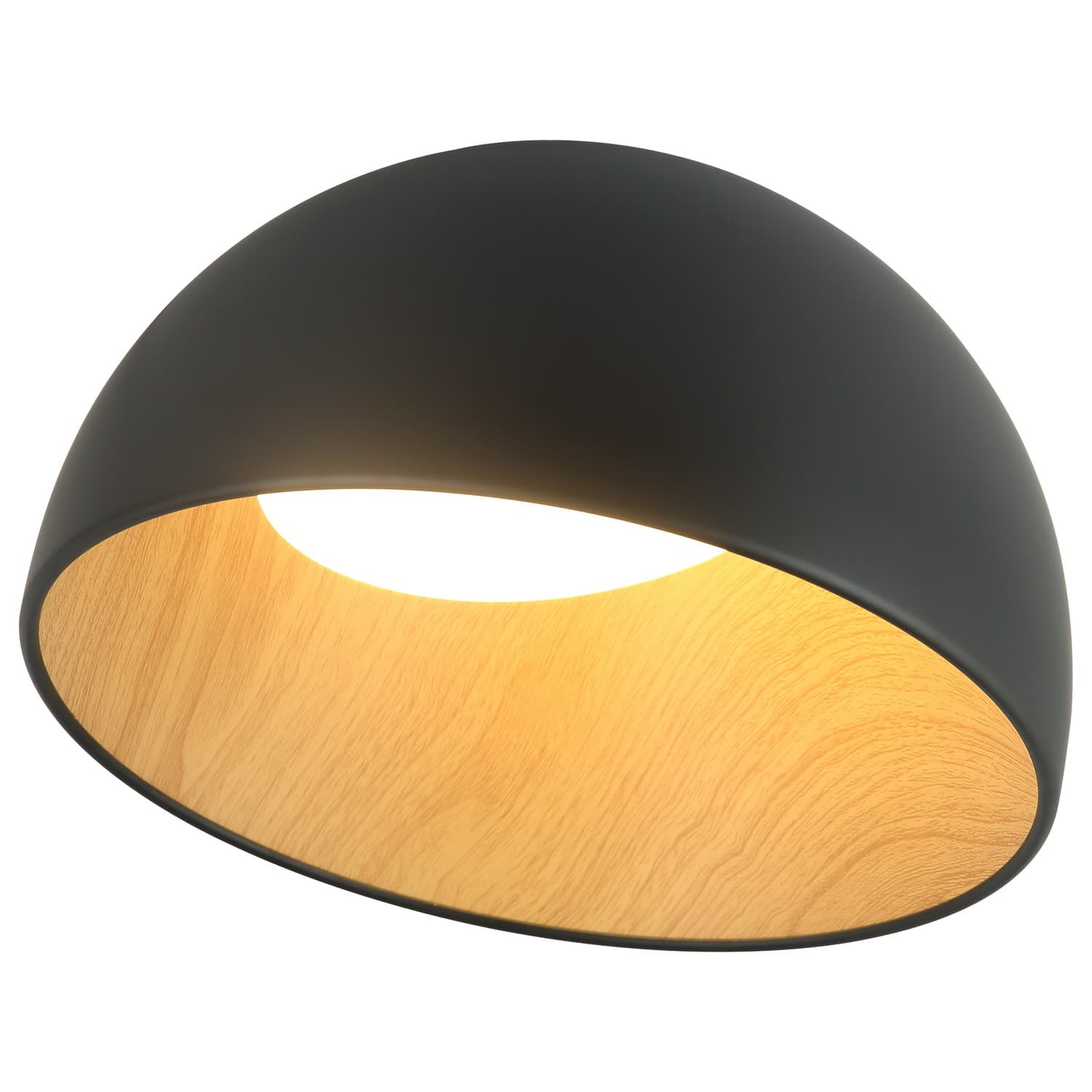 LED plafonska lampa FK2001-24C BK - LED plafonjere i plafonske lampe