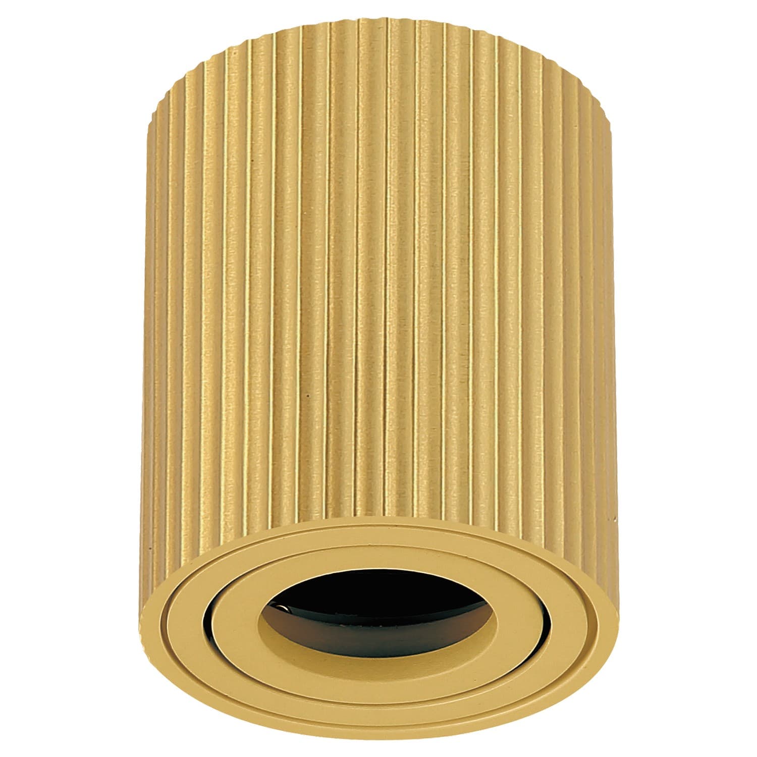 Plafonska lampa AFS118-1C SG - Novo u ponudi