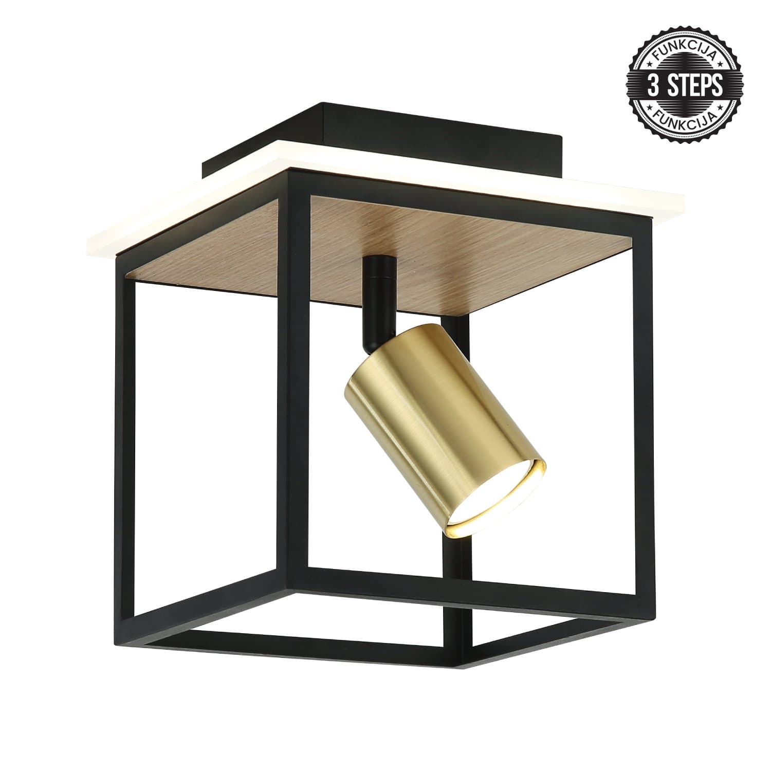 LED plafonska lampa FG152-1 BK+WD - LED plafonjere i plafonske lampe