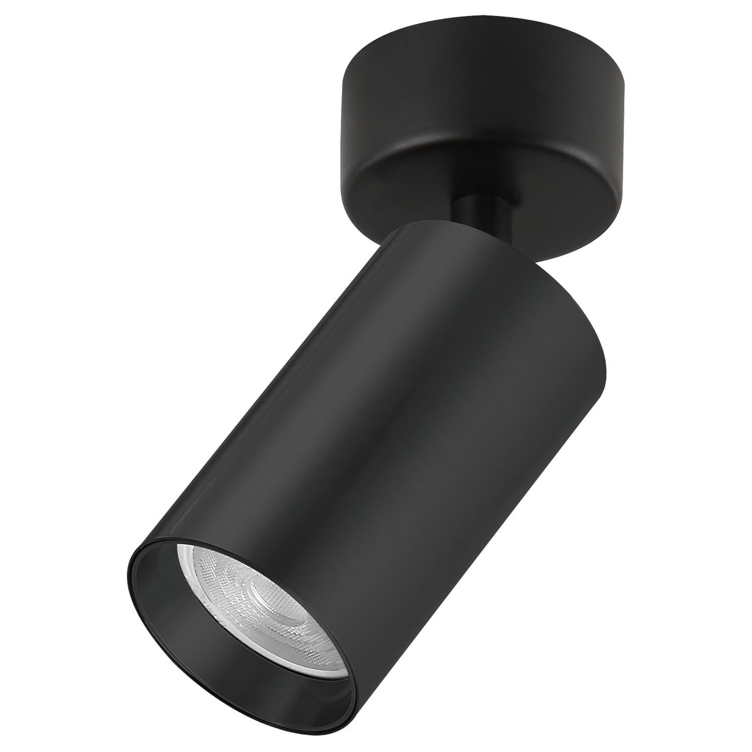Plafonska lampa AFS121-1C BK - Plafonske lampe