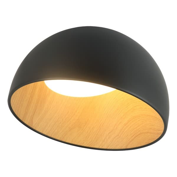 LED plafonska lampa FK2001-36C BK - LED plafonjere i plafonske lampe